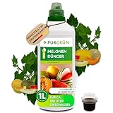 Purgrün® Bio-Melonen-Dünger 1 Liter – Organische Rezeptur – Premium-Flüssigdünger – NPK 4+1+7 – Mit Algenextrakt & Vinasse – Extra Kalium für große, süße Melonen – Ohne tierische Inhaltsstoffe