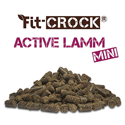 cdVet Fit-Crock Hundefutter trocken Active Lamm Mini 2 kg, getreidefrei