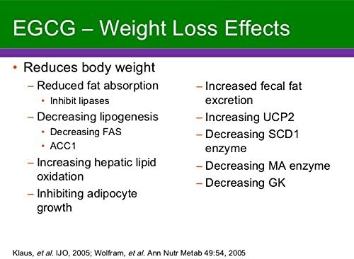 Advanta Supplements Green Tea Extract with Maximum Potency EGCG for Increased Metabolism