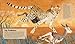 Barefoot Books Incredible Animals