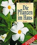 Die Pflanzen im Haus