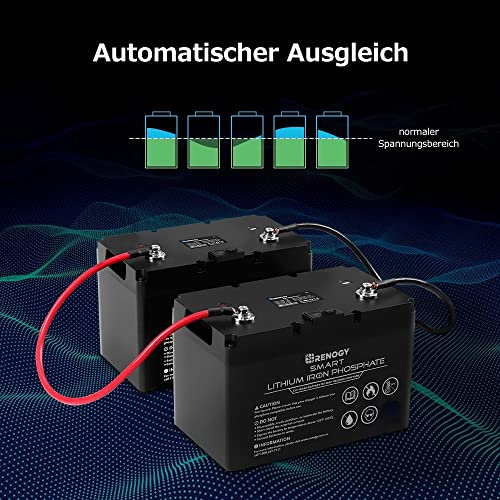 Renogy LiFePO4 12V 100Ah Lithium Batterie Solarbatterie mit Smart BMS - Versorgungsbatterie für Wohnmobil und Camping, 10 Jahre Batterielebensdauer
