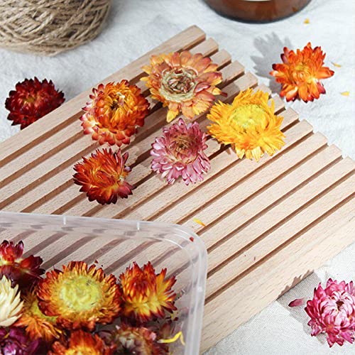 5 Pack Flores Secas Naturales para Manualidades miniatura 5