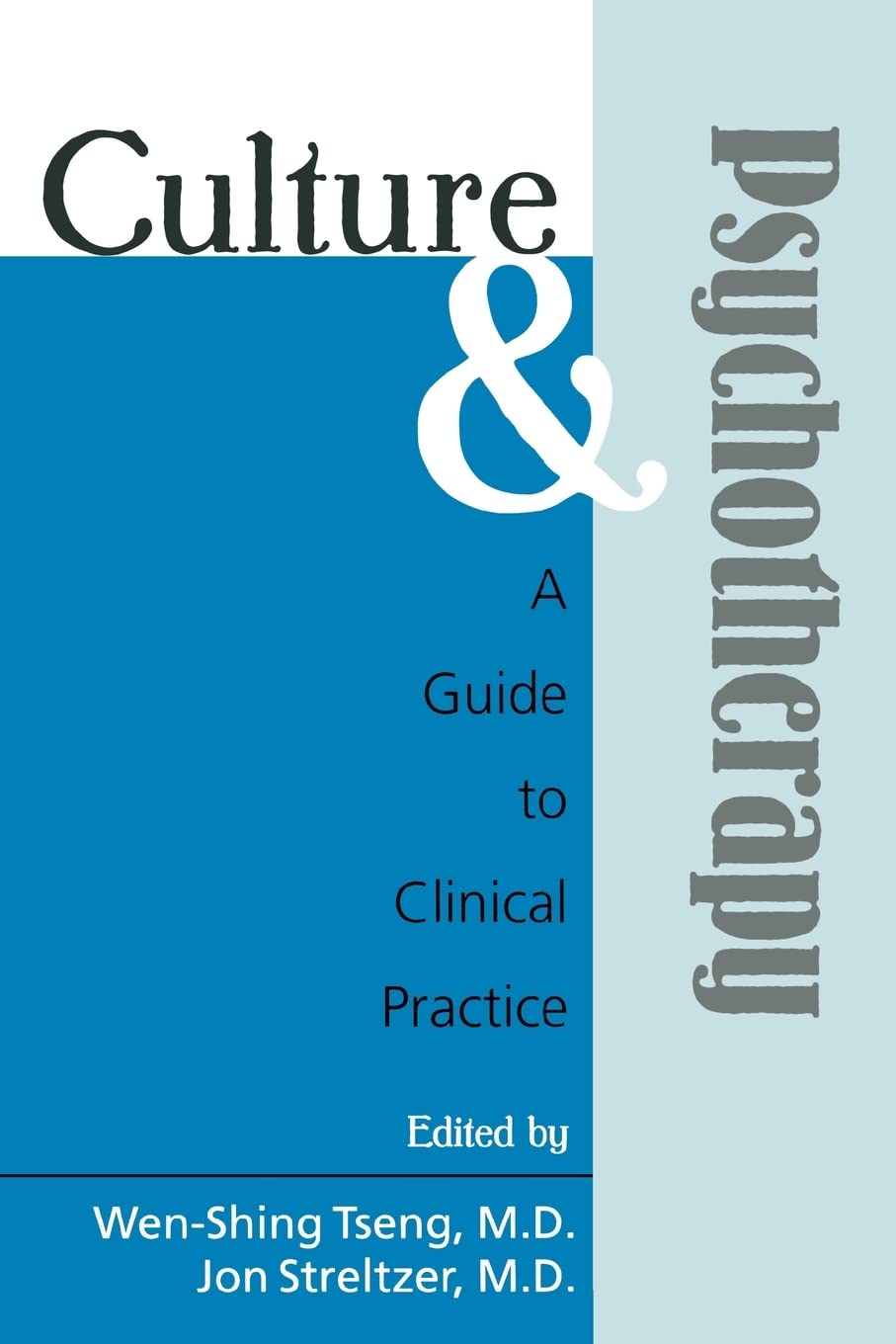 Culture and Psychotherapy: A Guide to Clinical Practice