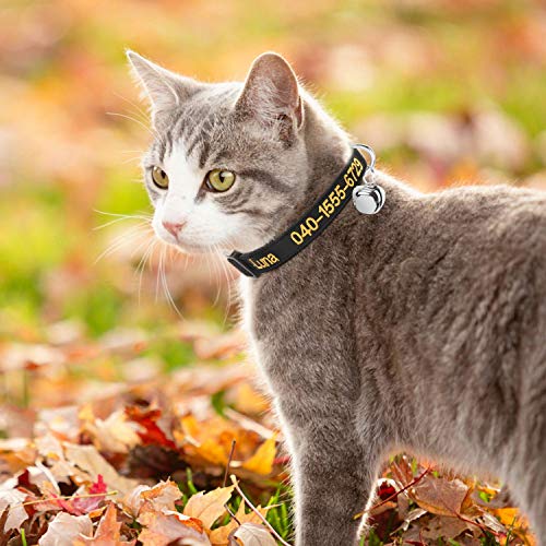 Brillianne Benutzerdefiniertes Breakaway Cat-Halsband, personalisiert mit Glocke, Sicherheitsverschluss, gesticktem ID-Namen am Kätzchenhalsband