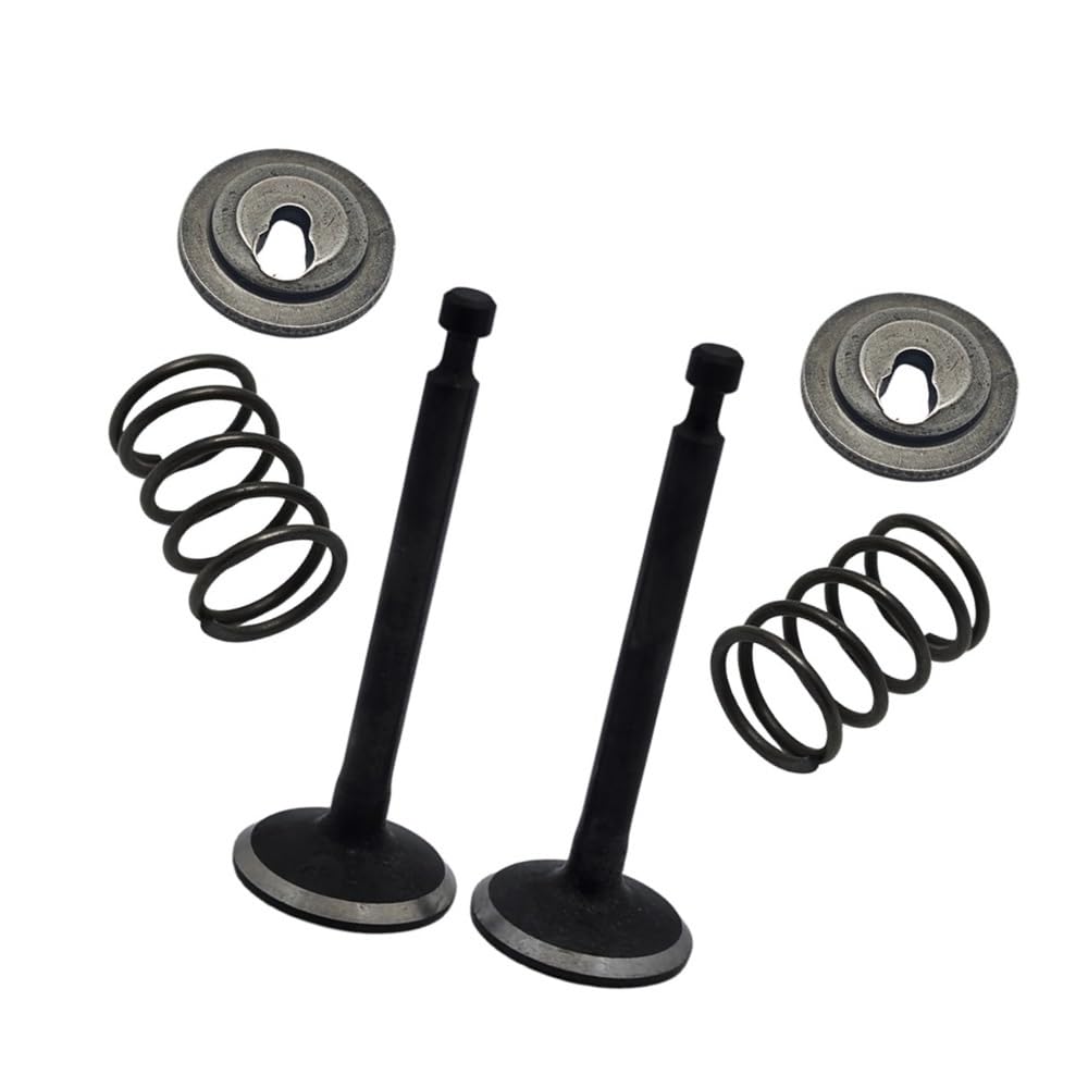 Set di Molle di ritegno della valvola di aspirazione e Scarico Adatte for decespugliatore GX25 HHT25S, Parte del Motore di Piccole Dimensioni