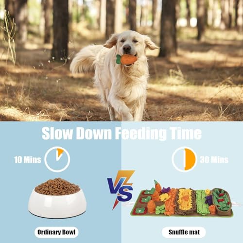 Compétences de recherche pour chiens développées via tapis puzzle