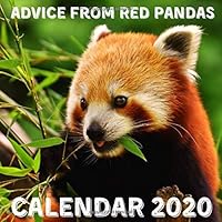 Advice From Red Pandas Calendar 2020: November 2019 - December 2020 With Red Pandas Inspirational Quotes 167327398X Book Cover