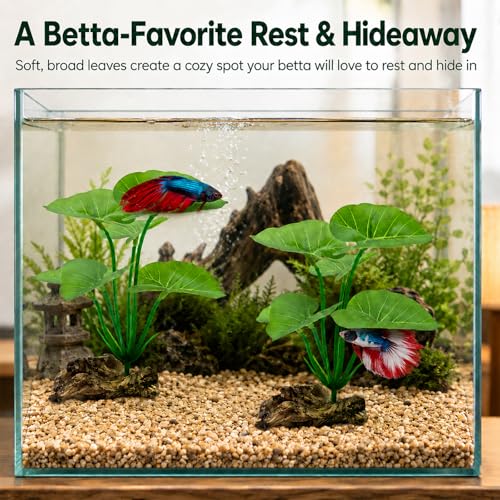 Image of 2-Pack Aquarium Decor Fish Tank Decorations 6-inch Betta Fish Tank Plants Leaf Hammock, Artificial Silk Aquarium Plants Betta Tank Accessories, Goldfish, Reptiles Plant Decor Driftwood