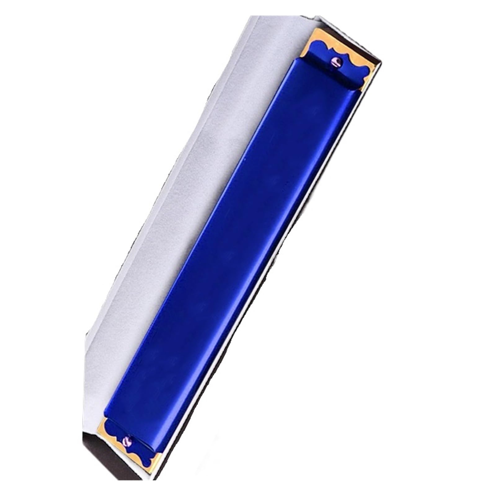 Armonica A Bocca Polifonica A 24 Fori Tonalità Do Tono Uguale Per Principianti Adulti Professionale Strumento Musicale A Colori Armonica(Blue G)