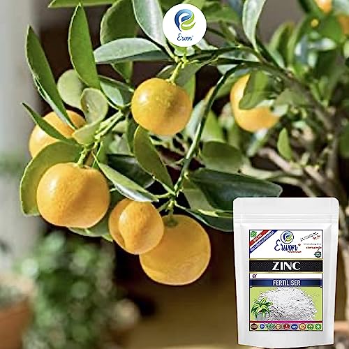 Image of Erwon Zinc Fertilizer, 100% pure, Premium Powerful Fertilizer for Overall Growth of Plants (400 gm)