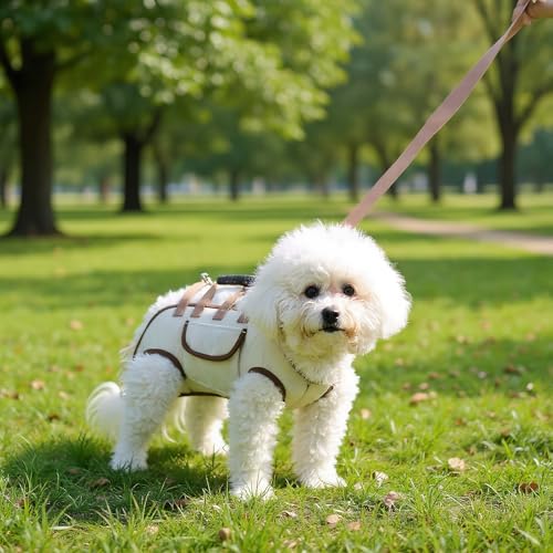 Arnés de elevación para perros con correa ajustable transpirable 5