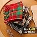 Clothirily Winter Scarf for Women- Womens Fashion Plaid Scarfs Lightweight, Cashmere Feel Warm Soft Pashmina Shawls and Wraps, Long Blanket Scarf