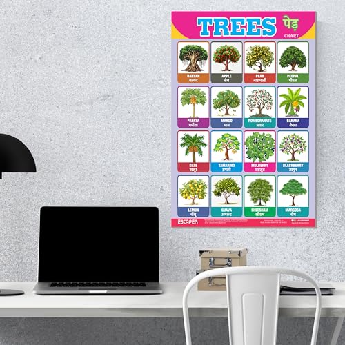 Image of ESCAPER Trees Educational Charts for Kids Learning (11.5 x 17.5 Inches), Study Material, Learning Books, Educational Posters