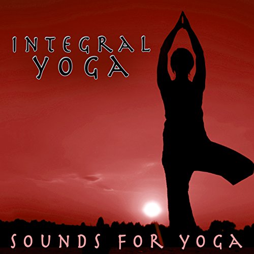 Back Support, S, Black, Mesh