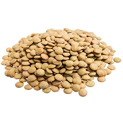 Lentilha Canadense Viva Salute Embalado a Vácuo - 1Kg