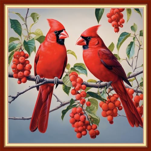 Image of Redxing Stamped Cross Stitch Kits Full Range of Embroidery Starter Kits- Needlepoint Counted Cross Stitch Kits for Beginner Adults 11CT Printed Embroidery Kit-Bird Scenery 18x18 inch