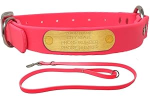 Regal Dog Products Large Pink Custom Engraved Waterproof Dog Collar and Leash...