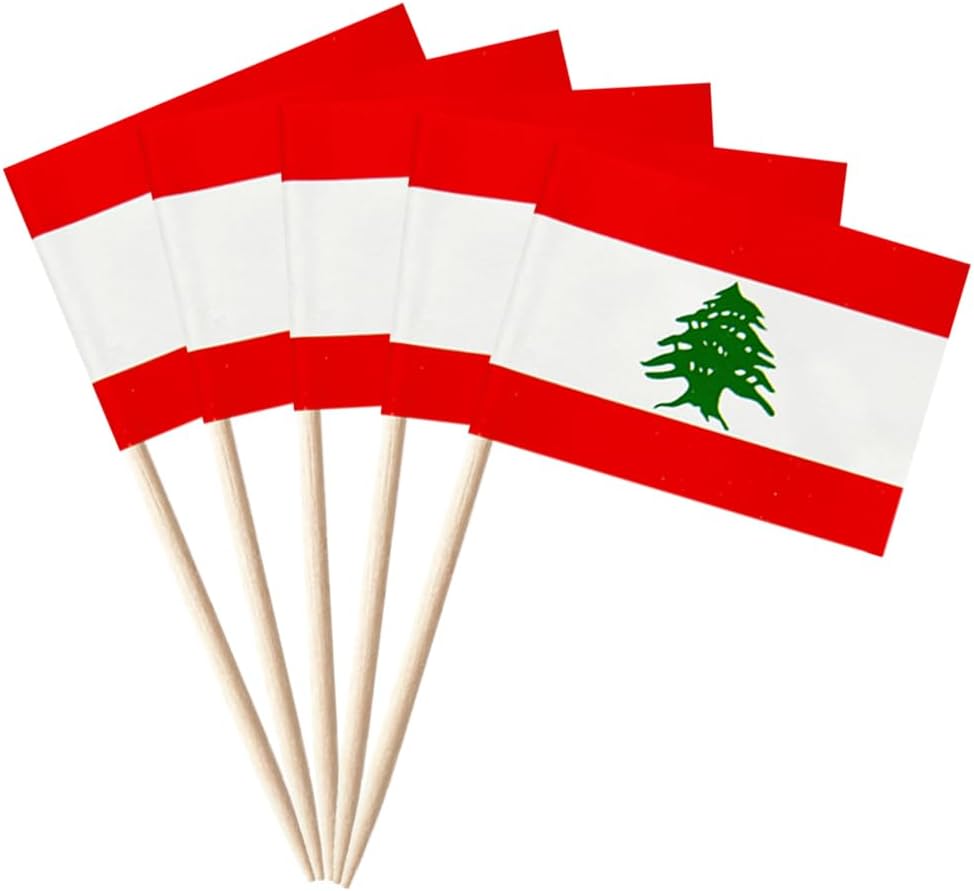 100 Pcs Lebanon Flag Lebanon Toothpick Flags Mini Small Lebanese Cupcake Toppers Stick Flags Banner Party Cocktail Fruit Decoration