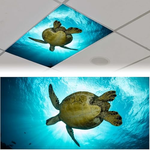 Image of 2pcs Sea Turtle Fluorescent Light Covers for Ceiling Lights Classroom, Magnetic Light Filters for Office, Hospitals, Home 4 X 2 Feet