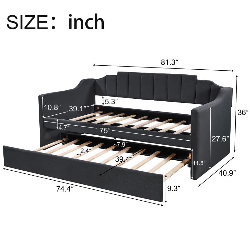https://m.media-amazon.com/images/I/51OTjCE2mkL.jpg