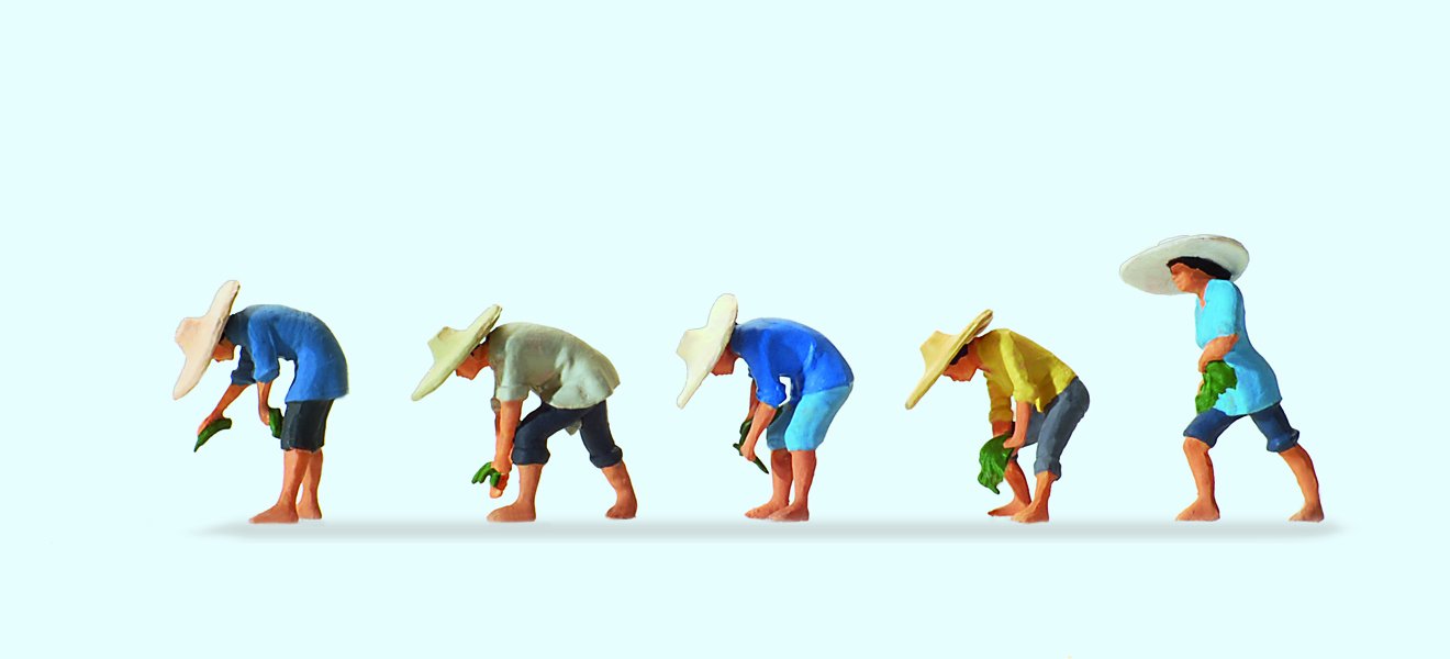 Preiser 10572 At the Rice Field (5) Exclusive Figure Set