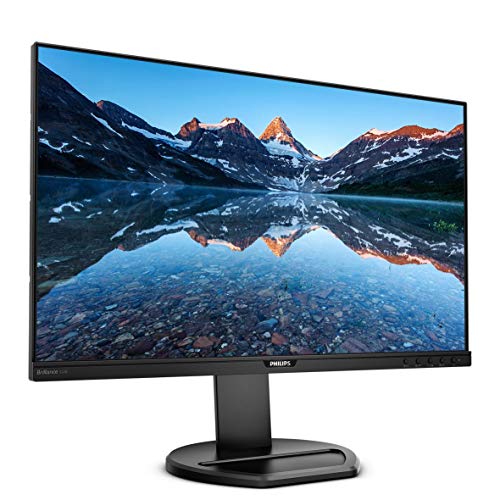 Philips 252B9 [252B9-00] Lcd Monitor 25 "