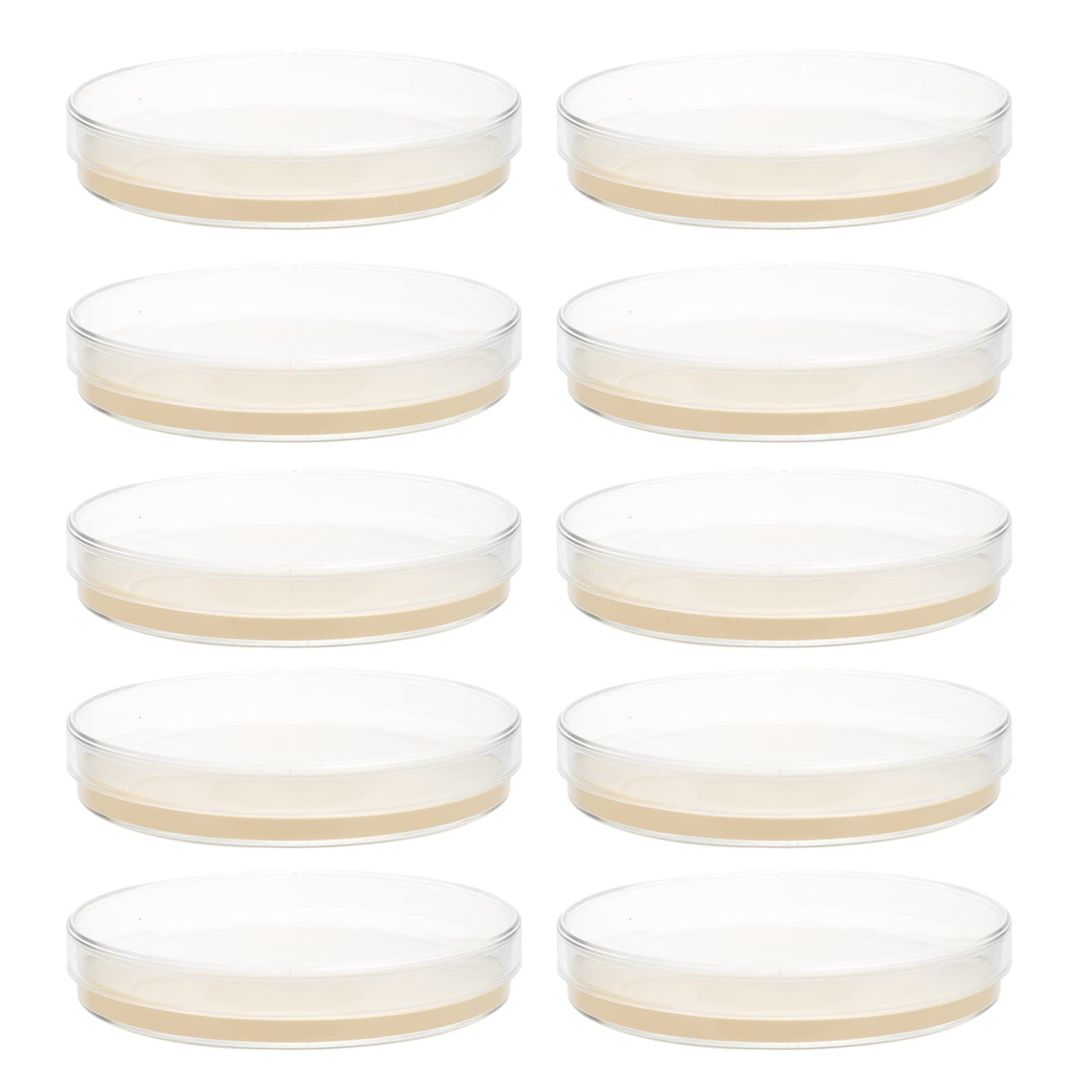 Buy ULTECHNOVO 10pcs Petri Dishes Clear Agar Plates Sterile Petri Dish