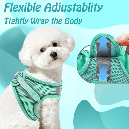 AIITLE No Pull Hundegeschirr, Step in einstellbares Hundegeschirr mit gepolsterter Weste, Hundeleine mit weichem gepolstertem Griff, leicht anzulegen für kleine und mittlere Hunde Reines Türkis S