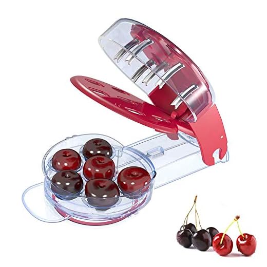 Gxhong Cherry Pitter,Olive Pitter Tool,Cherry Stone Remover with Pit and Juice Container, Stainless Steel Multiple Fruit Core Remover Tool, 6 Capacity At Once