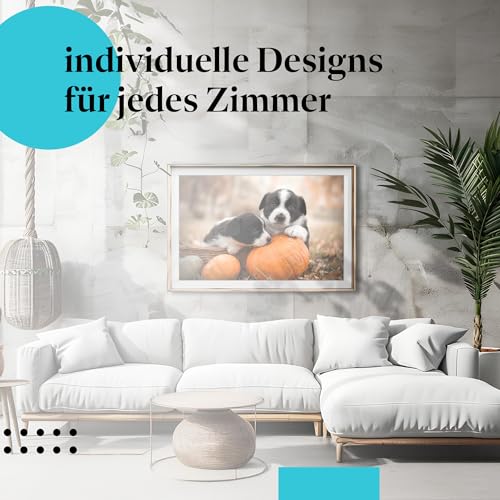 Postereck - 3776 - Hundewelpen, Tier Hund Kürbis Geschwister Natur - Wandposter Fotoposter Bilder Wandbild Wandbilder - Poster - DIN A4-21,0 cm x 29,7 cm