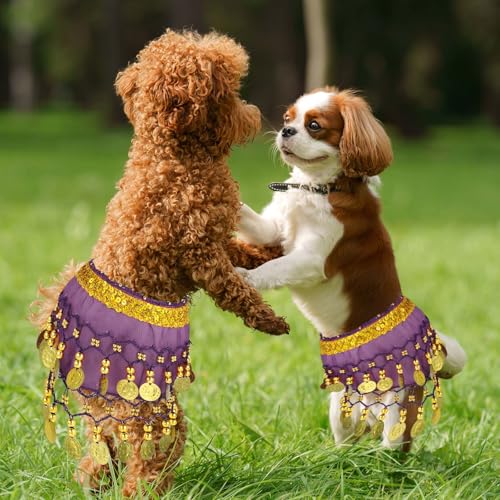 Falda Disfraz Danza del Vientre para Perro Rose 2Pcs miniatura 6