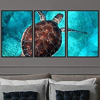 3 Piece Framed Canvas Wall Art Turtle Under The Surface Canvas Prints Home Artwork Decoration for Living Room,Bedroom - 16