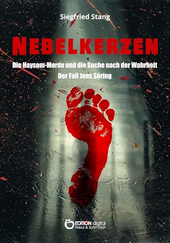 Nebelkerzen: Die Haysom-Morde und die Suche nach der Wahrheit von Siegfried Stang
