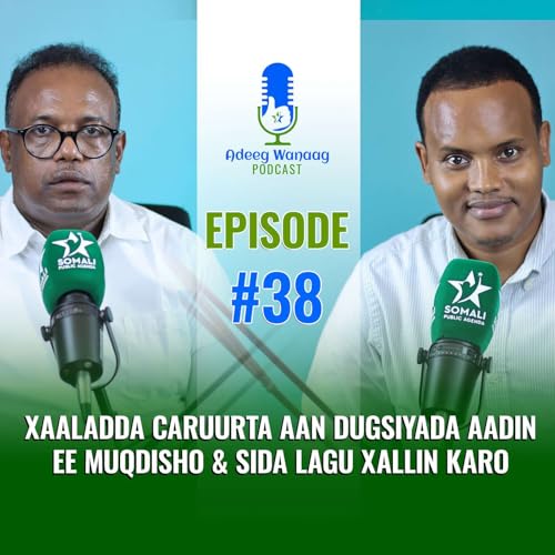 Xaaladda Caruurta aan Dugsiyada Aadin ee Muqdisho & Sida Lagu Xallin Karo