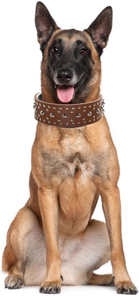 Amazon | スタッド付き犬の首輪、中型大型犬用レザー犬用首輪