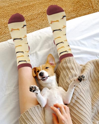 Gemtte Dackel Socken, Socken 36-45 mit Lustige hundemotiv, Baumwollsocken mit Spruch “Bitte Nicht Stören - Mein Hund Braucht Mich”, Idee Geburtstagsgeschenk für hundeliebhaber Frauen & Männer