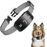 New Upgraded Klassisches Hundehalsbänd IP65 Wasserdicht Einstellbare Weiche Schwarz Nylon Halsbänder Hunde für Jagdhund, Labrador, Schafhund