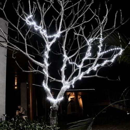 Image of COXO 45 Meters LED Rope Light for Decoration - Waterproof White SMD Cove Light for Ceiling, Home Decor, LED Pipe Light for Diwali, Festival, Indoor, Outdoor Use (White, 45 Meter)