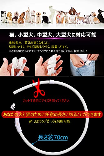 【最新型 長時間点灯】犬光る首輪 - 画像 3