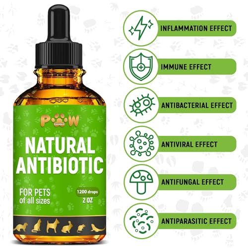 Dog Antibiotics for Infection, Coughs, UTIs, Allergies, Itching | Natural Antibiotics for Cats to Support Skin, Coat, & Digestion | for All Breeds & Ages | 2 oz