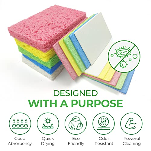 AIRNEX-Biodegradable-Cellulose-Compressed-Sponges-Pack-of-16-Kitchen-Sponges-for-Cleaning-Heavy-Duty-and-Natural-Multipurpose-Household-Cleaning-Sponges-Good-for-Kitchen-Bathroom-and-Surfaces