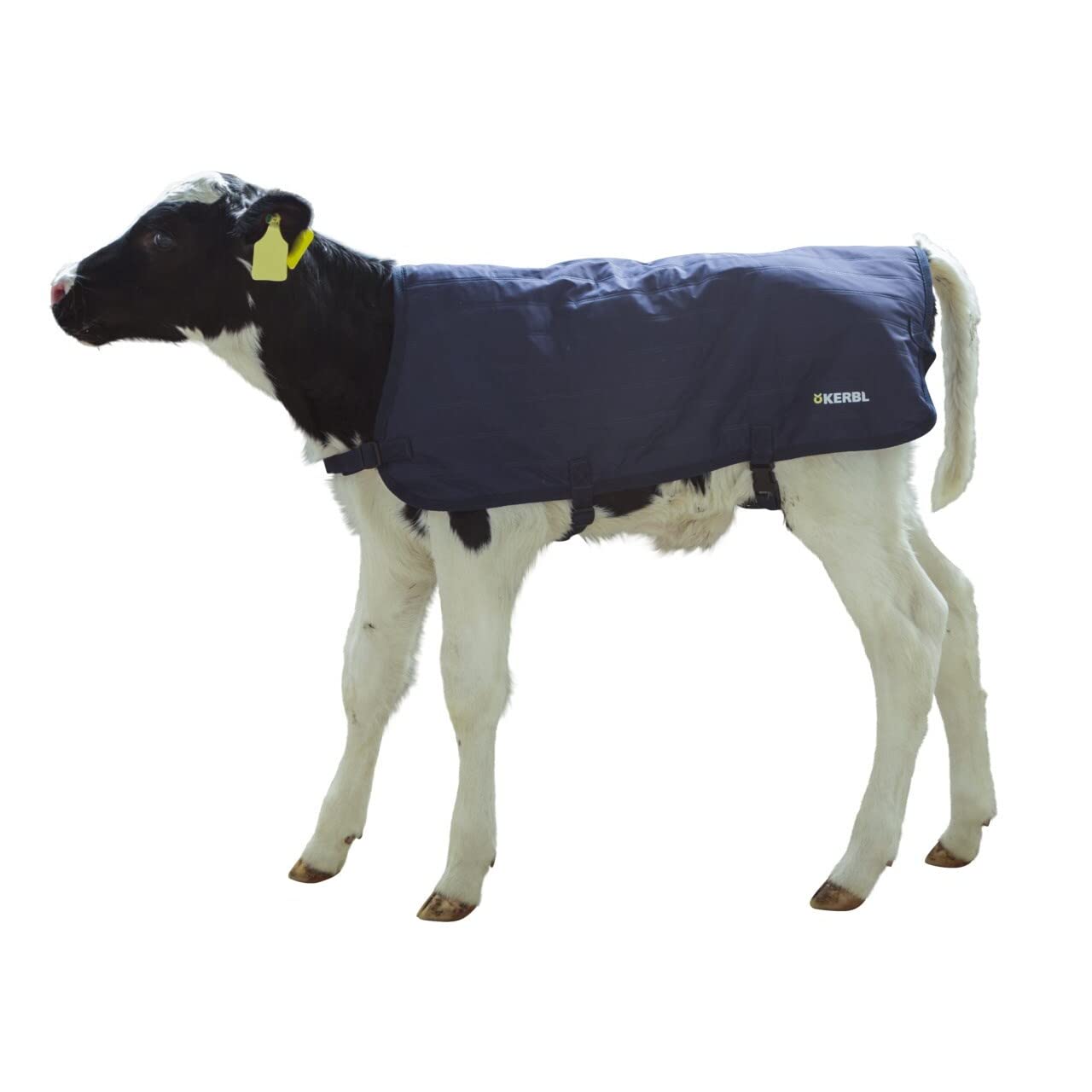 Kälberdecke EasyWear, leichte Ausführung, 70cm