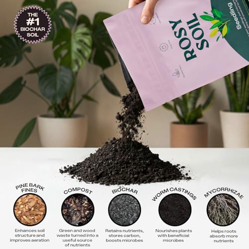 Image of Rosy Soil Seedling Seed Starter Soil Mix, Organic, Peat-Free, 4 Quarts | Worm Castings, Biochar and Mycorrhizae Blend, For Seed Germination, Microgreens, Propagation, Herbs, Vegetables, Flowers