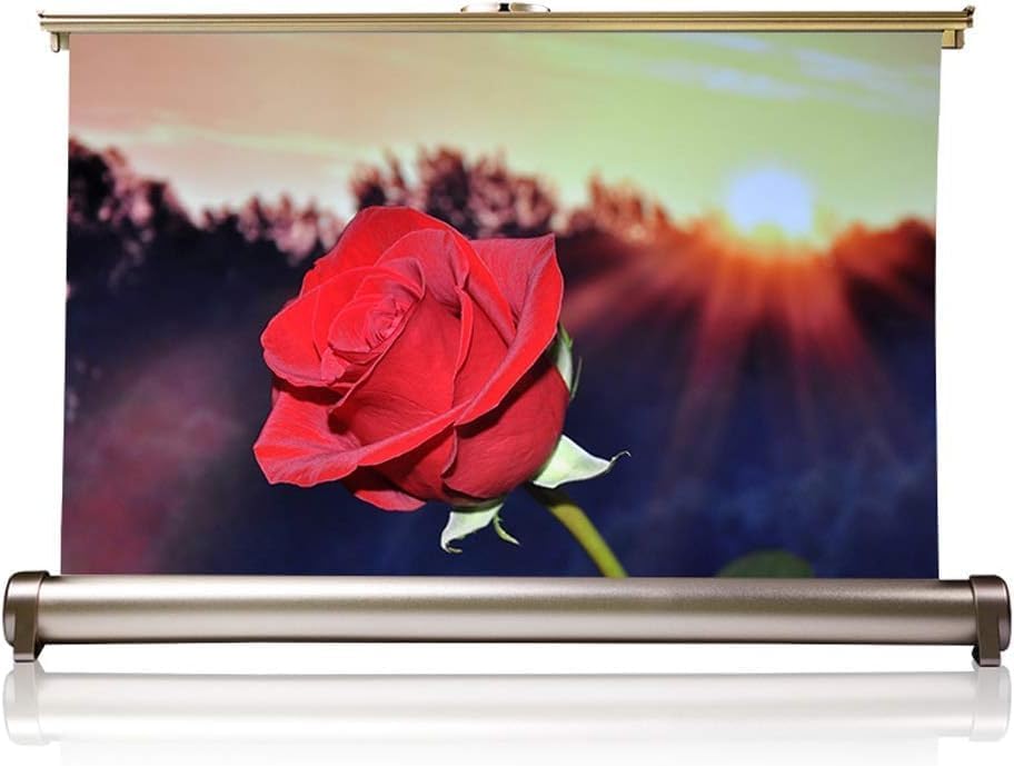 20 Inch Projector Screen 16:9 Desktop Portable Front Projection Screen for Business Meeting