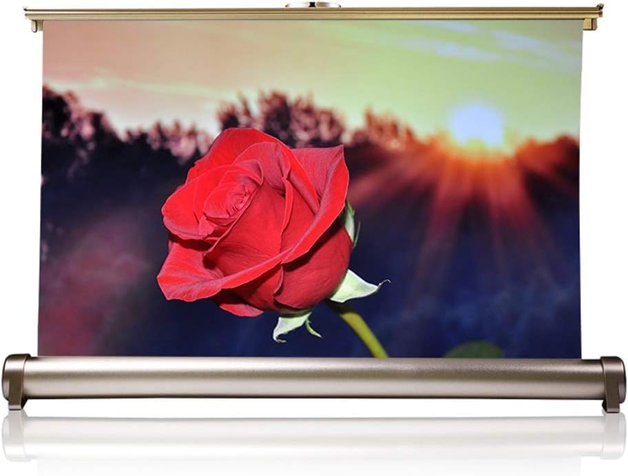 Pantalla de proyector portátil 20 pulgadas 16:9