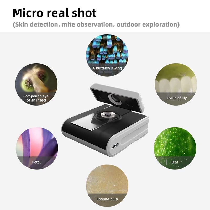 Kit Accessori Microscopio USB 30W - Modulo Elettronico Con Sensore 300k Pixel, Vetrini Inclusi, Per Osservazione Campioni