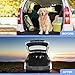 Magnetic Car Tailgate Mosquito Net, Medium Size, Rear Window Screen Protection (M)