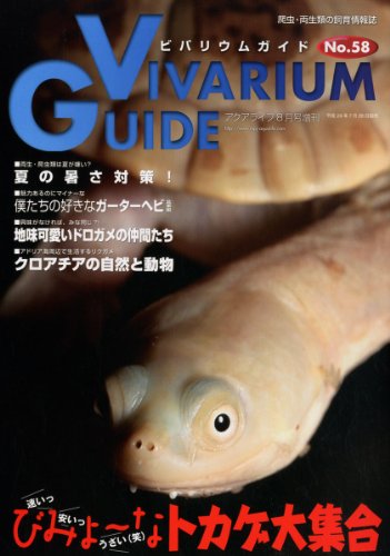 ビバリウムガイド NO.58 2012年 08月号 [雑誌]