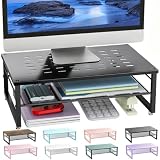 gianotter 2-Tier Metal Monitor Stand